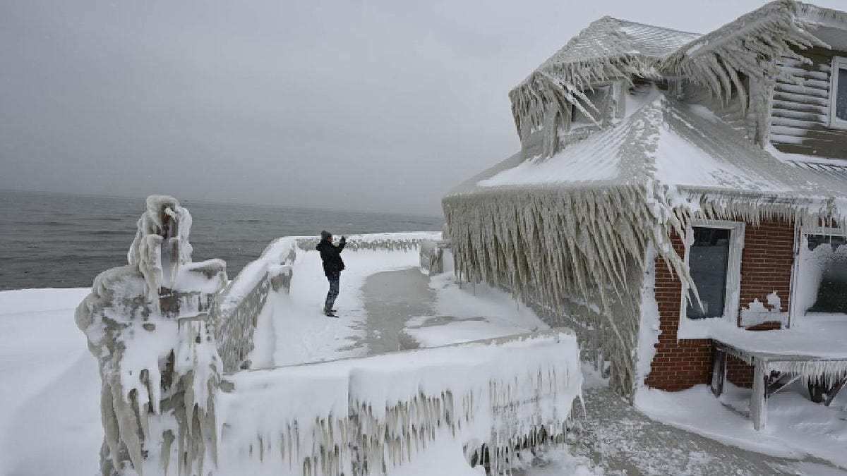 Buffalo Travel Restrictions: Current Status and Essential Information